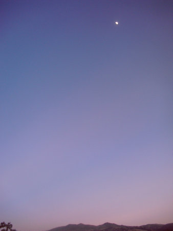 dawnの写真素材