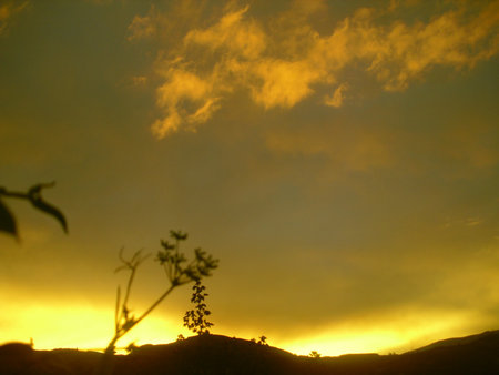 joy and colorの写真素材