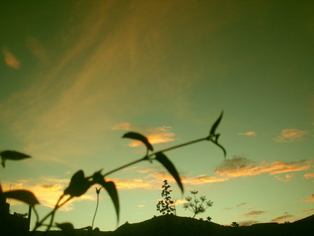 happiness in heavenの写真素材
