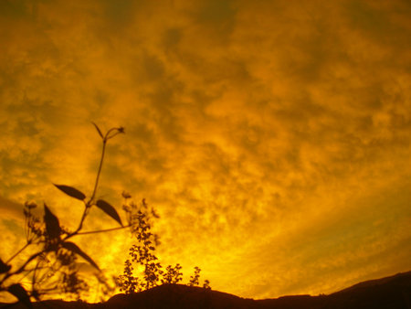 border  of the Twilightの写真素材