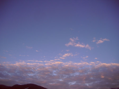 morning の写真素材