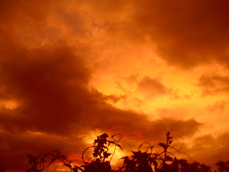 beauty of cloudの写真素材