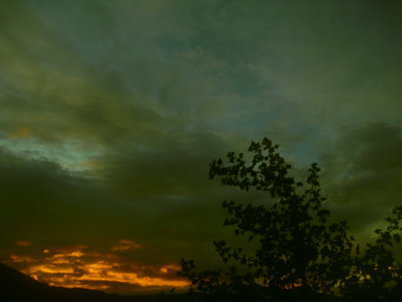 beauty and mysteryの写真素材
