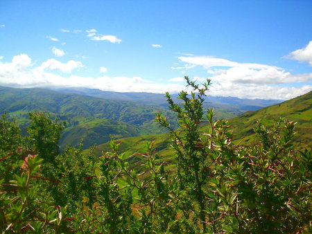landscapeの写真素材