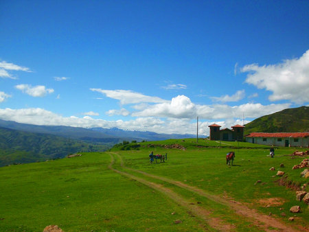 fieldの写真素材