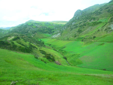 greeneryの写真素材