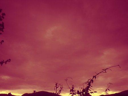mystery of colorの写真素材