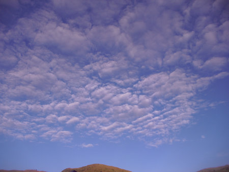 joy and  peaceの写真素材