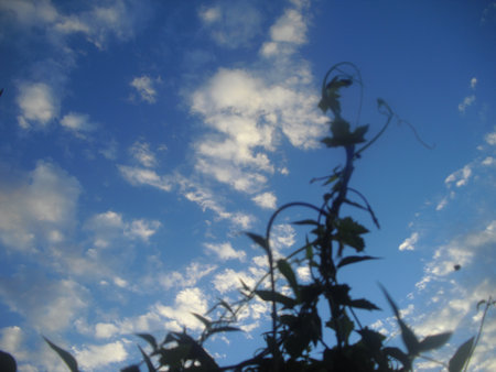 life in the cloudの写真素材