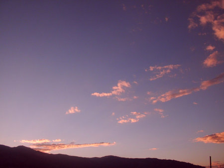 color and peace の写真素材