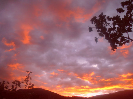 sunset の写真素材