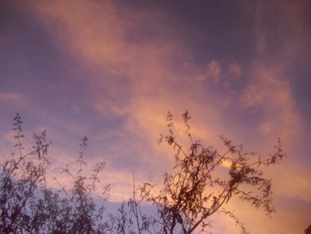 color  of mysteryの写真素材