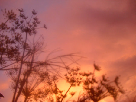 mystery of cloudの写真素材