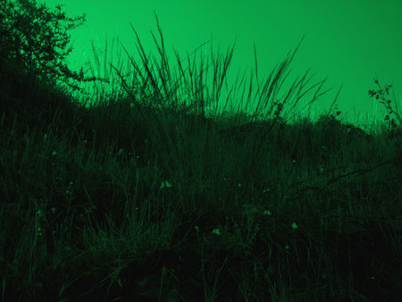 color and  peaceの写真素材