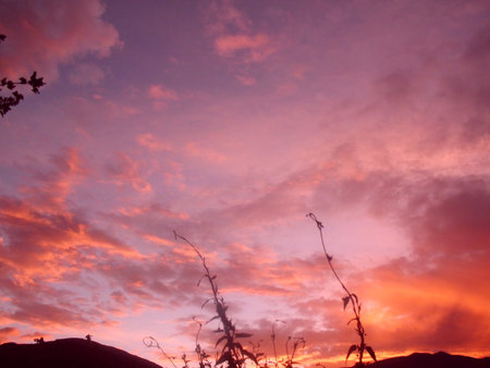 color and peaceの写真素材