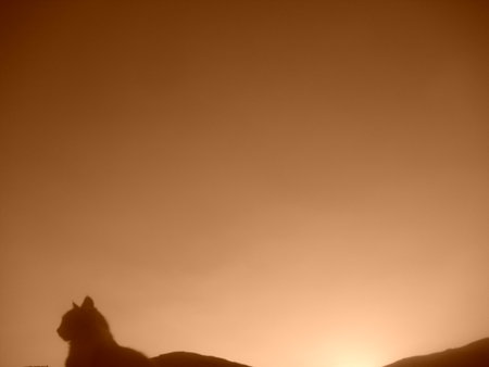 peaceの写真素材