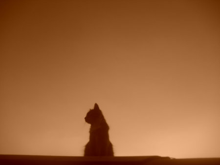 peace of sunsetの写真素材