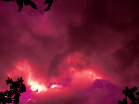 color of mysteryの写真素材