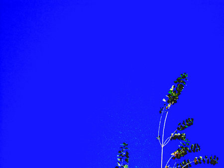 serenityの写真素材