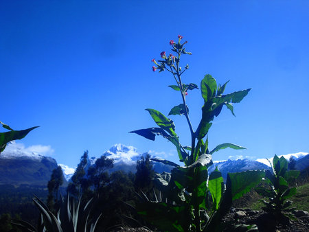 peruvian landscapeの写真素材