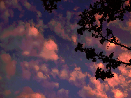 beauty of dawnの写真素材