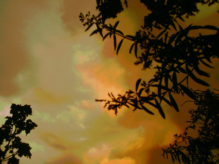 color of mysteryの写真素材