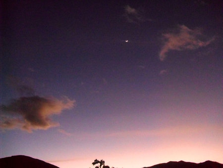 joy of sunsetの写真素材