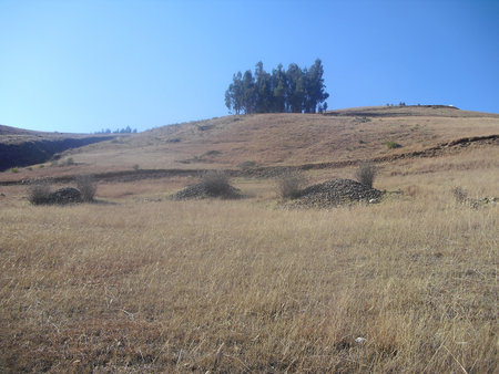 autumn fieldの写真素材
