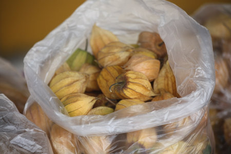 fruit Aguaymantoの写真素材