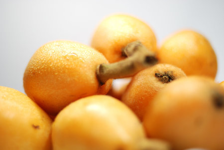 bead in the loquatの写真素材