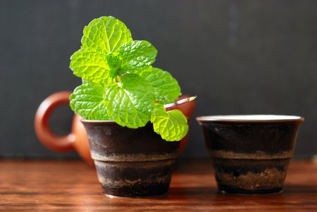 Asian teapot with sprigs of mint for teaの素材 [FY3104652252]