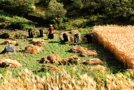 Workersの写真素材