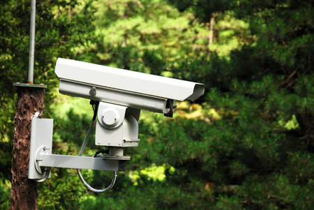A camera in the tree