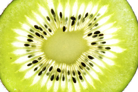 Thin slices of kiwi fruit on white background, isolatedの写真素材