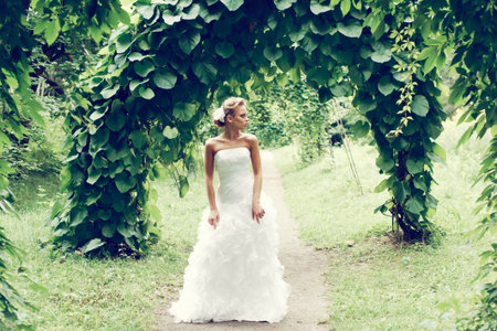 A beautiful bride in the white wedding dress.の写真素材