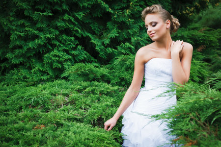 A beautiful bride in the white wedding dress.の写真素材