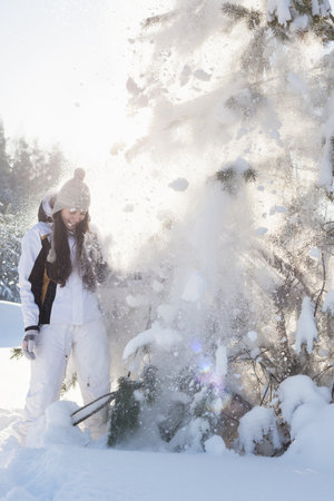 Snow pours from a tree on a beautiful young girl, outdoorsの写真素材