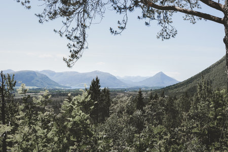 Picturesque landscape of Norway countrysideの写真素材
