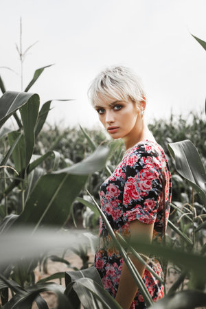 Young woman between green leaves in a corn field in summerの写真素材