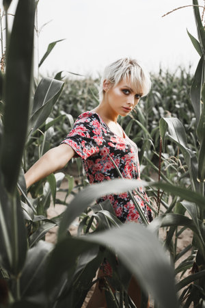 Young woman between green leaves in a corn field in summerの写真素材