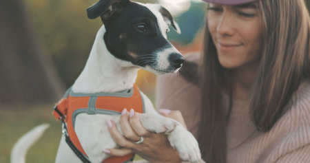 Portrait of beautiful young woman hug play with dog jack russell terrier on the lake shoreの写真素材