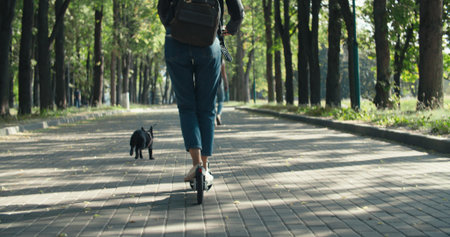 Young woman driver of electric scooter in city park. ecological transport. Girl walking with black French bulldogの写真素材
