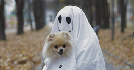 Little girl in a costume ghost with orange pumpkin holding small dog . Halloween celebration holiday. Funny smiling grimaceの写真素材