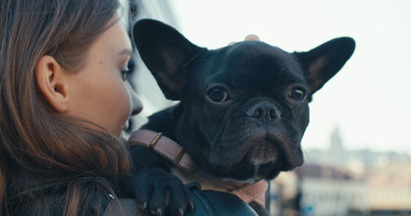 Young woman holding her French bulldog puppyの写真素材