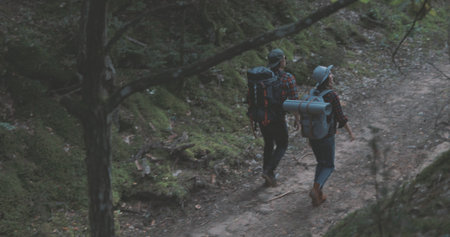 Young man and woman hiking in forest. Hiker camping in woods. Tourist couple walking by stream.の写真素材