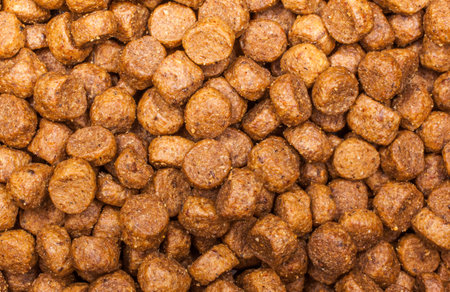 Close up image of dog foodの写真素材