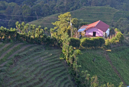pink house in the mountain of Merendon, Hondurasのeditorial素材