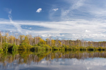 Wild nature in the autumn sunny dayの写真素材