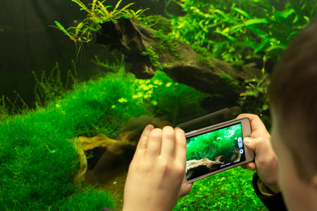 Boy taking picture of aquarium with smart phoneの写真素材