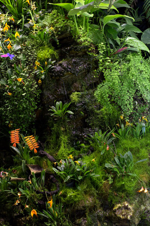 Beautiful views of the typical tropical landscape